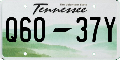 TN license plate Q6037Y