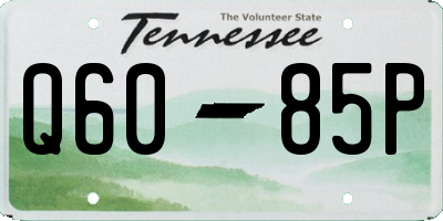 TN license plate Q6085P