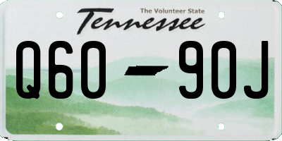 TN license plate Q6090J