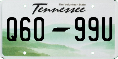 TN license plate Q6099U