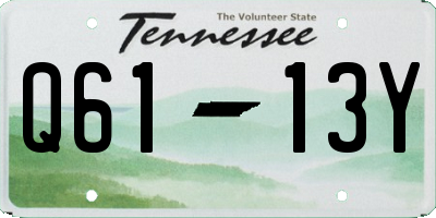 TN license plate Q6113Y