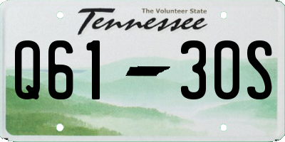 TN license plate Q6130S