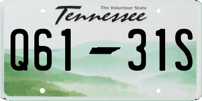TN license plate Q6131S