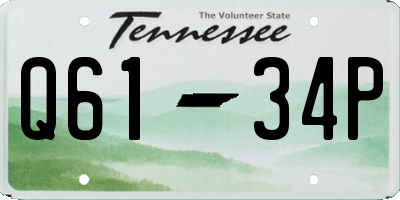 TN license plate Q6134P