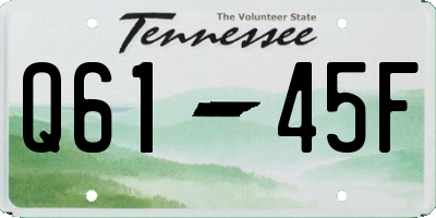 TN license plate Q6145F