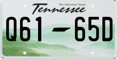 TN license plate Q6165D