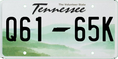 TN license plate Q6165K