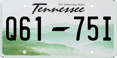 TN license plate Q6175I