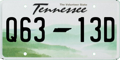 TN license plate Q6313D
