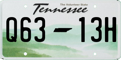 TN license plate Q6313H