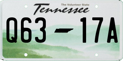 TN license plate Q6317A