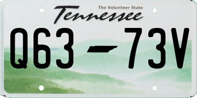 TN license plate Q6373V