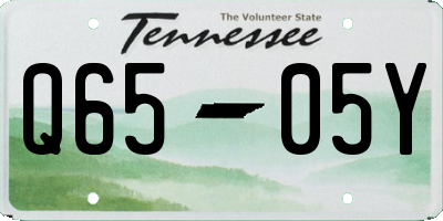TN license plate Q6505Y