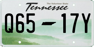 TN license plate Q6517Y