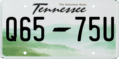 TN license plate Q6575U