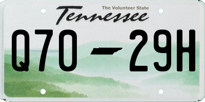 TN license plate Q7029H