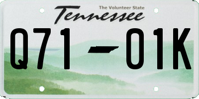 TN license plate Q7101K