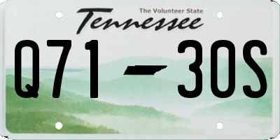 TN license plate Q7130S