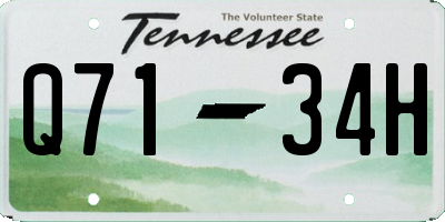 TN license plate Q7134H