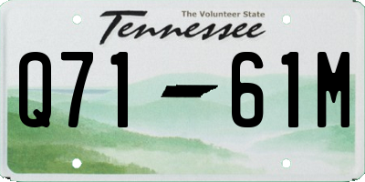 TN license plate Q7161M
