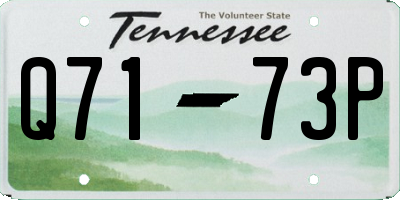 TN license plate Q7173P
