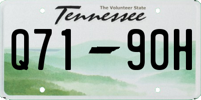 TN license plate Q7190H