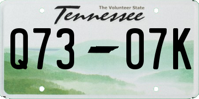 TN license plate Q7307K