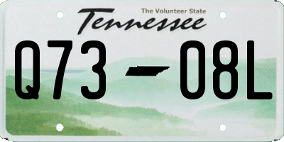 TN license plate Q7308L