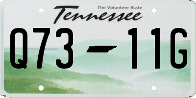 TN license plate Q7311G