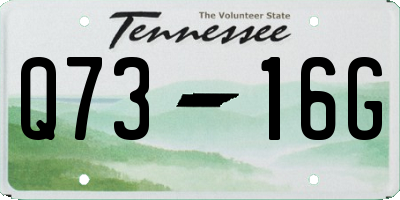 TN license plate Q7316G