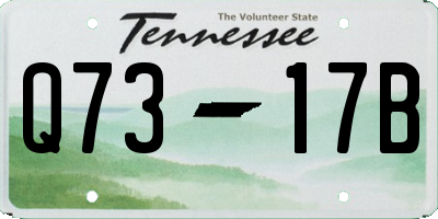 TN license plate Q7317B
