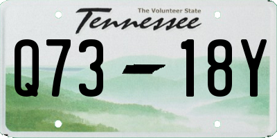 TN license plate Q7318Y
