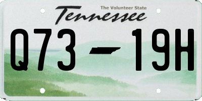 TN license plate Q7319H