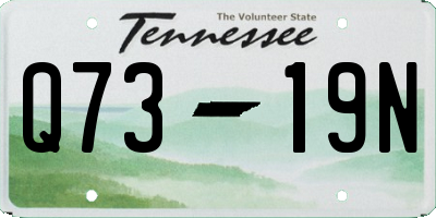 TN license plate Q7319N