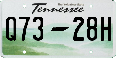 TN license plate Q7328H