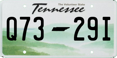 TN license plate Q7329I