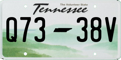 TN license plate Q7338V