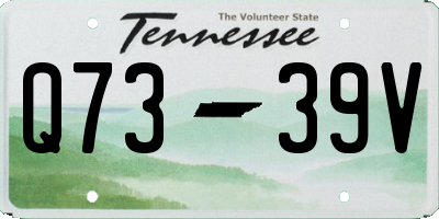 TN license plate Q7339V