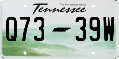 TN license plate Q7339W