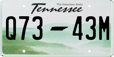 TN license plate Q7343M