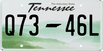 TN license plate Q7346L