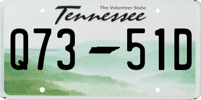 TN license plate Q7351D