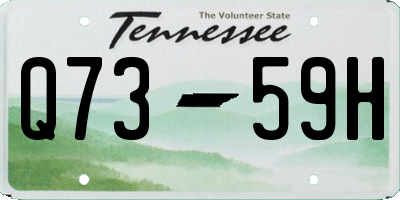 TN license plate Q7359H