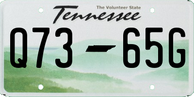 TN license plate Q7365G