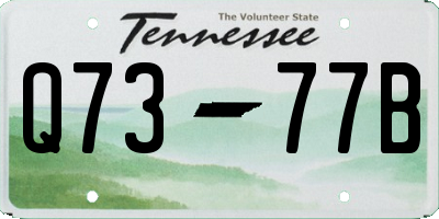 TN license plate Q7377B