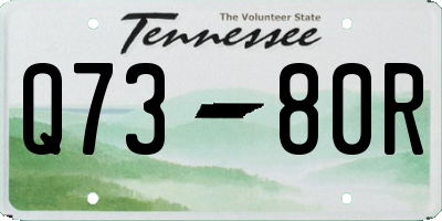 TN license plate Q7380R