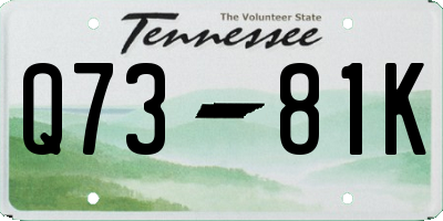TN license plate Q7381K