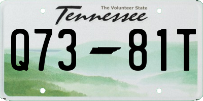 TN license plate Q7381T
