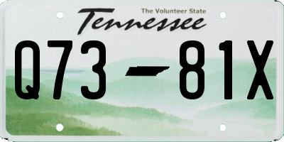 TN license plate Q7381X