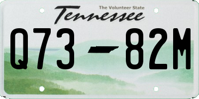 TN license plate Q7382M